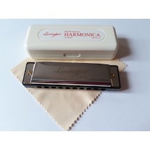 Lexington Hm0310 Mızıka Blues c 10 Delikli Do
