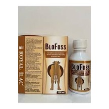 Blofoss Şurup 100ml