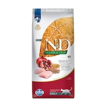 Ancestral Grain Tavuklu Narlı Düşük Tahıllı Yetişkin Kedi Maması 10 Kg