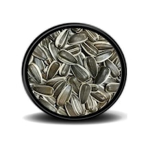 Dakota Çekirdek 1 KG Papağan Yemi