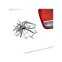Örümcek Araba Sticker Yapıştırması 2