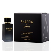 Frederic Patric By Patric Shadow Premium Erkek Parfüm EDP 100 ML