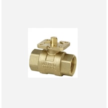 Sıemens Küresel Vana 2yollu Pn40 3/4'' Dn20 Vaı60.20-22