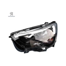 Cam Kızağı Peugeot 9818023580