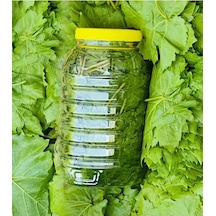 Taze Asma Yaprağı Yeni Sezon Pet 500 G