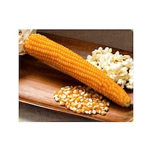 Agrodal Tarım Patlak Mısır Popcorn Cin Mısır Tohumu 50 Adet Tohum Sku: Smgstke0518889a2 Açık Gri