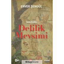 Darüşşifa - Delilik Mevsimi - Enver Şengül - Puslu Yayıncılık