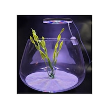Led Yuvarlak Usb Fanus Aydınlatma