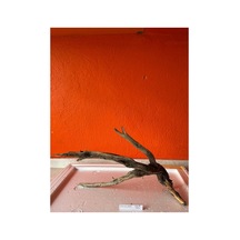 Red Welt Wood No:60018 45x13x28h