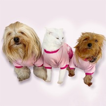 Kemique Nature Pink Oval Yaka Tişört Köpek Kıyafeti