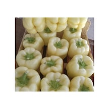 Beyaz Dolmalık Biber Tohumu - 3 Gram
