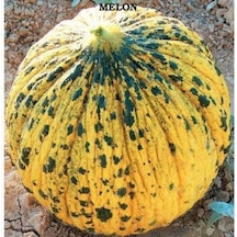 Doğal Altınbaş 637 Kavun Tohumu 4 Gram 1 Paket