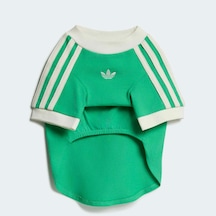 Adidas Originals Yeşil Pet Cali Tişört Ky8730