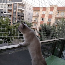 Nzl File Ambalaj Balkon Filesi - Kuş Filesi - Kedi Filesi - Kedi Ağı - 2 CM Gözenekli - 1.5 Mm İp