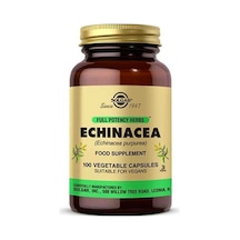 Solgar Echinacea 520 Mg 100 Kapsül