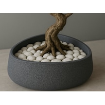 Modern Zen Serisi Taş Dokulu Dekoratif Bonsai Ve Sukulent Saksısı - Estetik Alçak Tasarım Yayvan Kase