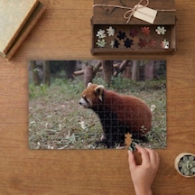 Nadir Kızıl Panda Tasarımı 240 Parça Ahşap Puzzle Ahşap Kutuda Mpy60057