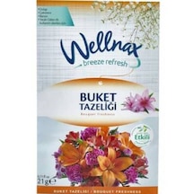 Wellnax Breeze Refresh Dolap Kesesi Buket Tazeliği 21 G