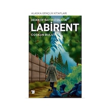 Dedektif Bay Matematik Labirent / Coşkun Bulut
