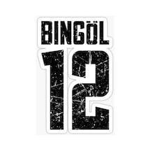 12 BİNGÖL Sticker Yapıştırma Oto Etiket 17cm
