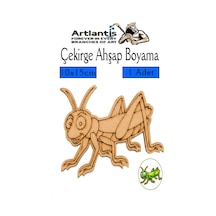 Ahşap Boyama Böcekler 1 Adet 10x15cm Boyama Böcek Figürleri Etkinlik Çocuk Gelişim Motor Beceri Kreş Anasınıfı