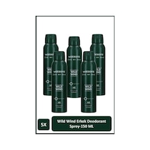 Wild Wind Deodorant Sprey Erkek Pudrasız 5 150 Ml