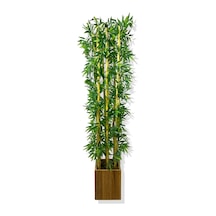 Cihan Çiçekçilik Bambu Yapay Ağaç 200 Cm 9 Adet Ahşap Saksıda Beyaz- Yeşil