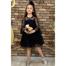 Diana Dantel Elbise 001