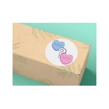 Baby Cinsiyet Partisi Sticker Mat Etiket Baby Shower Serisi 4 Cm 40 Adet Çok Renkli