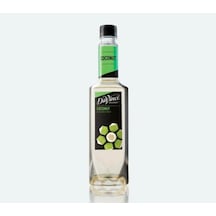 Davinci Gourmet Hindistancevizi Şurubu 750 ML