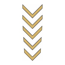 Cg Gold Çamurluk Üst Sticker Siyah