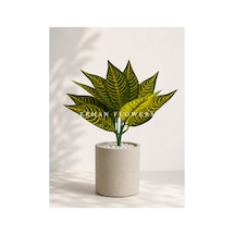 Yapay Çizgili Croton Calathea 48 Cm - Dekoratif Vazo İçi Islak Dokulu Yaprak Dalı Saksısız Çok Renkli