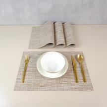 Maxstyle Horizon Alder 4 Parça Amerikan Servis 30x45 Cm Renkli