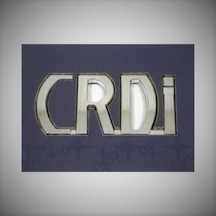 Hyundai Crdı Yazısı ( Crdi Arka Bagaj Yazısı)