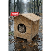 Reyo Kedi Yuvası Yağmura Ve Soğuğa Dayanıklı Osb Kedi Evi Deniz Tutkallı Monteli Teslimat - Cat30