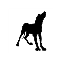 Köpek Folyo Sticker Derstv893 60cm Uzunluk Siyah