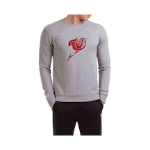 Anime Fairy Tail Glass Guild Emblem Baskılı Gri Erkek Sweatshirt (528464068)