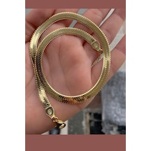 Gümüş 6 Mm 35+5cm Geniş Yassı Boyun Zinciri Uc23e23 Altın - Gümüş