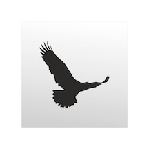 Folyo Sticker Kartal 30cm Uzunluk Siyah