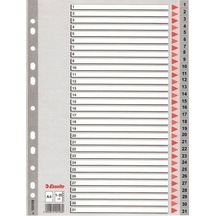 Esselte Seperatör 1-31 Rakamlı Ayraç
