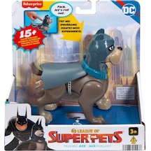 Imaginext DC League of Super Sesli Figürler Ace HJF28-HJF31