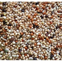 Premium Karışım Muhabbet Kuşu Yemi 5 KG