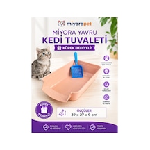 Yavru Kedi Tuvaleti-ekru