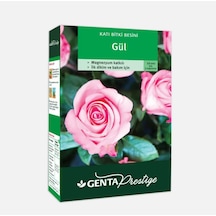 Genta Prestige Güller için Katı Bitki Besini