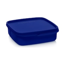 Tupperware Bölmeli Beslenme Kutusu Saklama Kabı 550ml Gece Mavisi