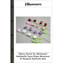 Çok Renkli
