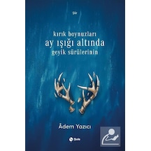 Kırık Boynuzları Ay Işığı Altında Geyik Sürülerinin / Adem Yazıcı