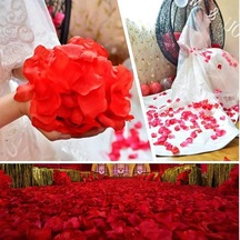 Romantik Kırmızı Gül Yaprağı Konfeti 100 Adet