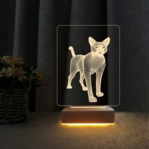 Kedi Tasarım 3D Çocuk Odası Gece Lambası Doğum Günü Hediyesi