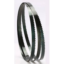 Einhell Uyumlu Th-(Tb) Sb 305 U Için 2320X13 Mm Karbon Şerit Testere